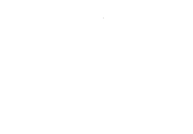 Raoud Slim Patches